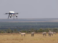 Kenya Conservation Tech